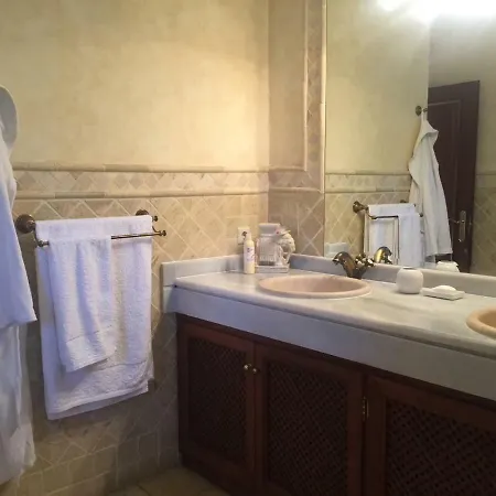 Luxury Hortensia Villa Marbella